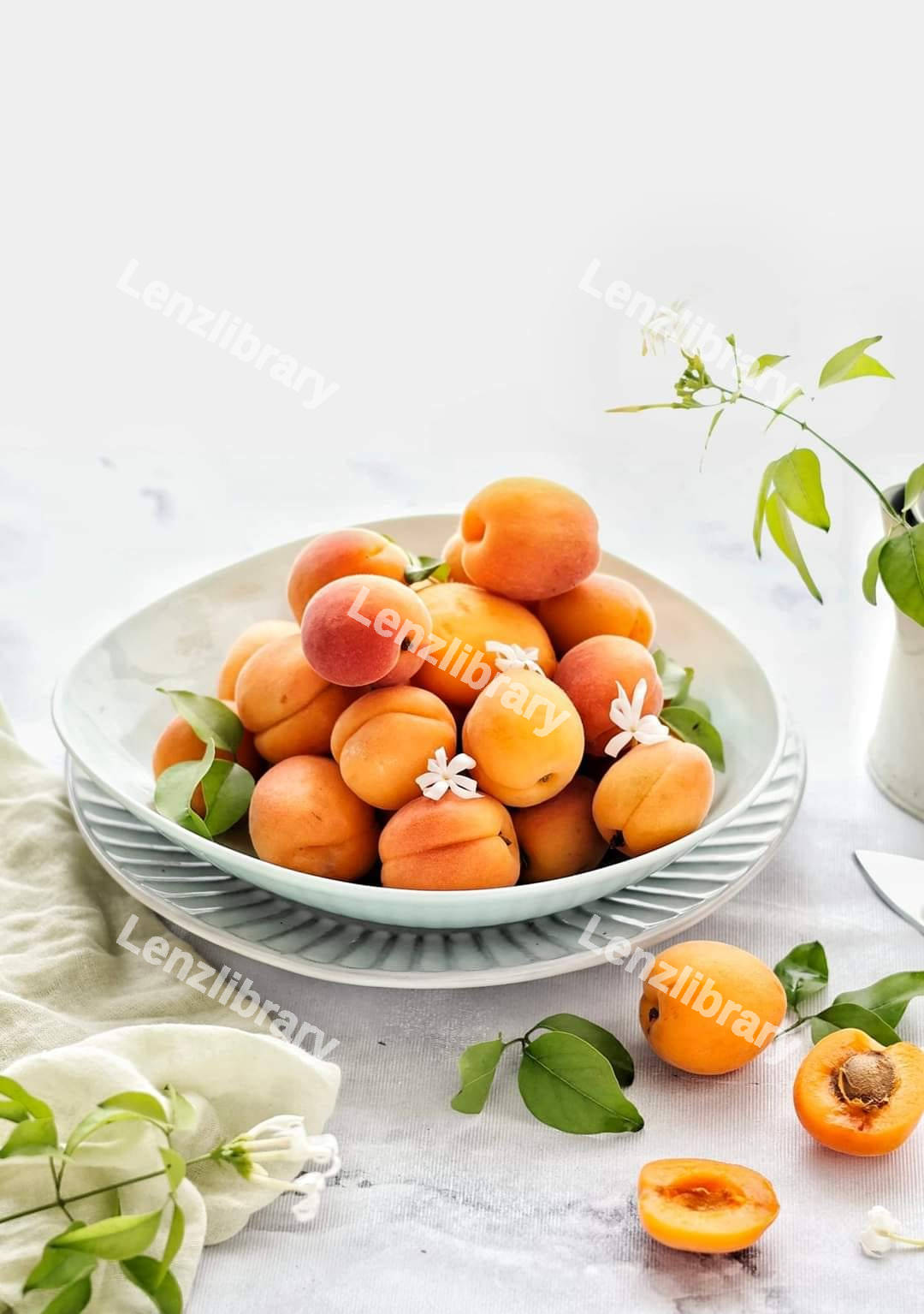 Apricots inside a white plate